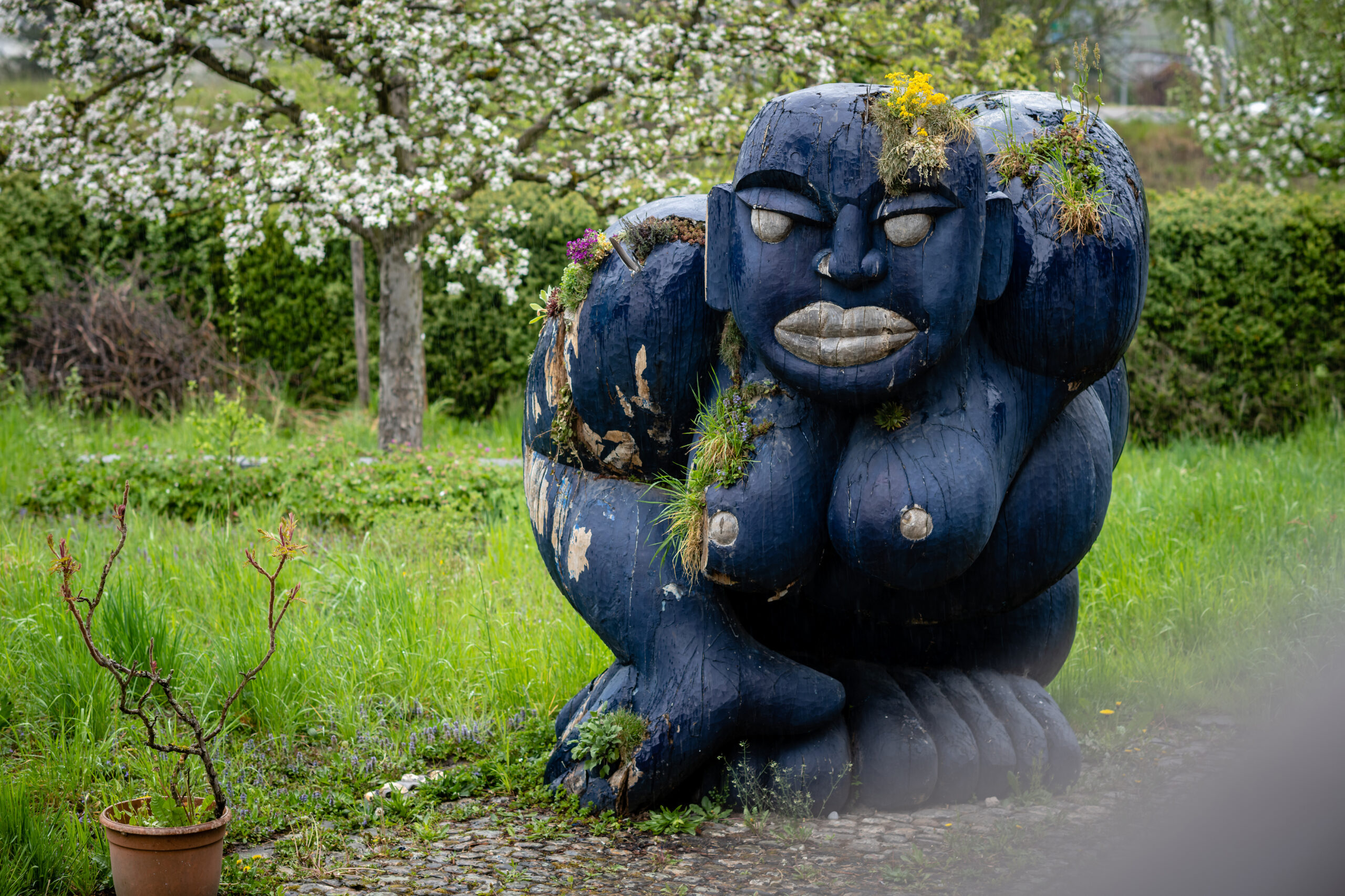Blaue Bertha – Hirschen-Talk 2026